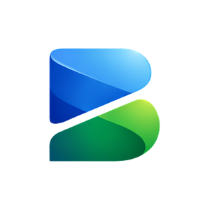 Binnovy logo, The icon